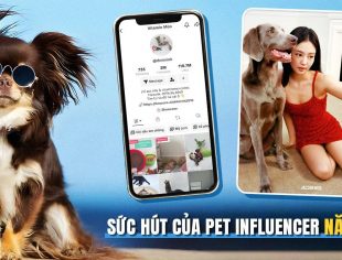 Pet Influencer: Hình ảnh đại diện tiềm năng của các thương hiệu trong năm 2024